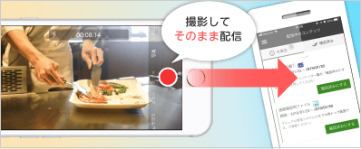 動画の配信